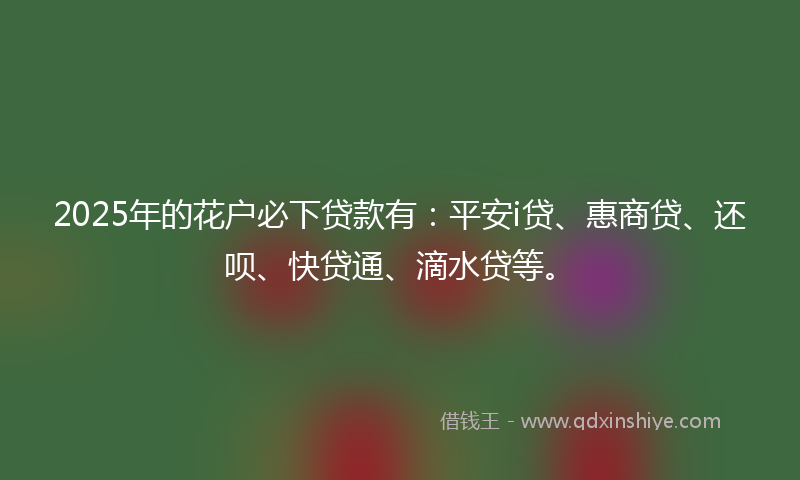 2025年的花户必下贷款有：平安i贷、惠商贷、还呗、快贷通、滴水贷等。