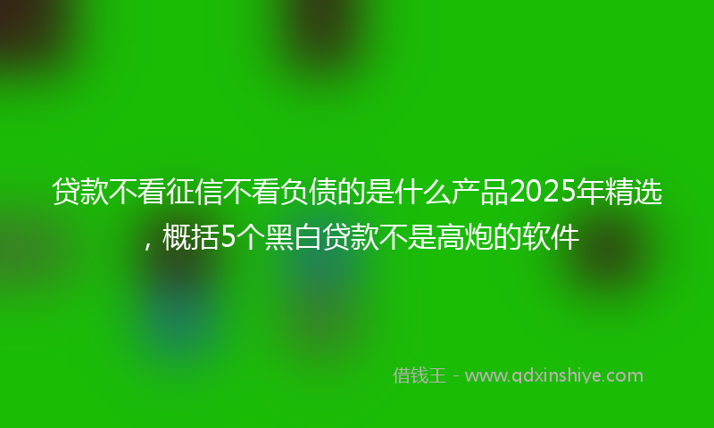 贷款不看征信不看负债的是什么产品2025年精选，概括5个黑白贷款不是高炮的软件