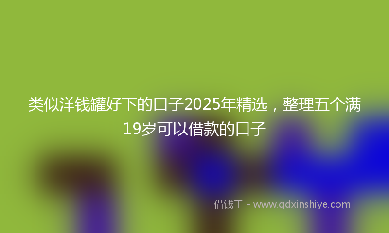 类似洋钱罐好下的口子2025年精选，整理五个满19岁可以借款的口子