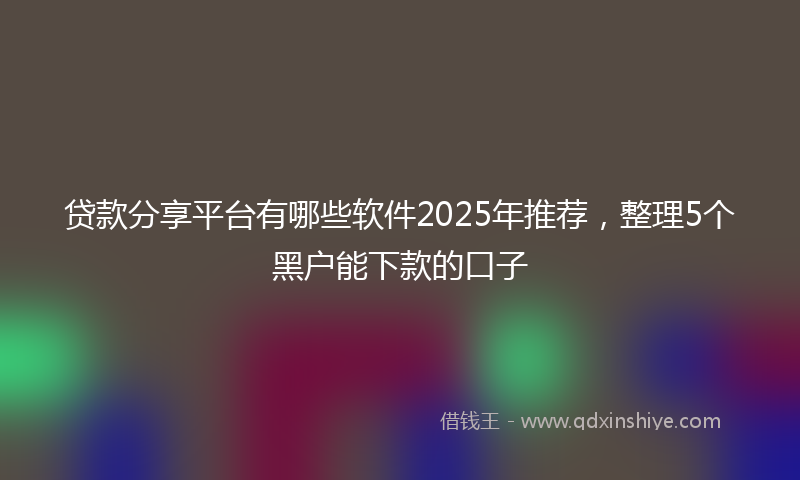 贷款分享平台有哪些软件2025年推荐，整理5个黑户能下款的口子
