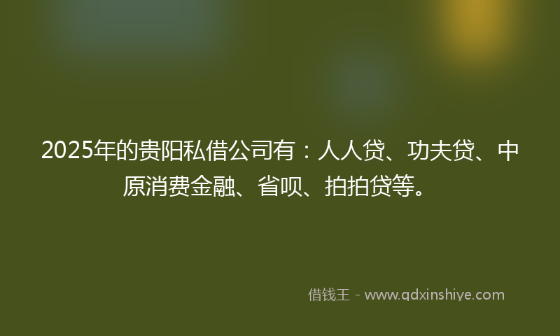2025年的贵阳私借公司有：人人贷、功夫贷、中原消费金融、省呗、拍拍贷等。