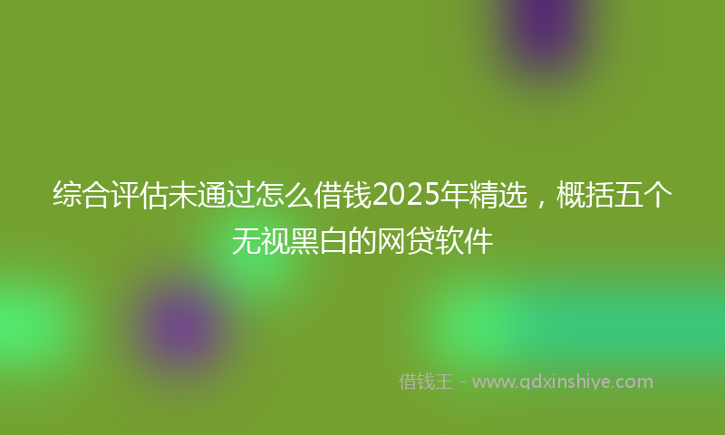 综合评估未通过怎么借钱2025年精选，概括五个无视黑白的网贷软件
