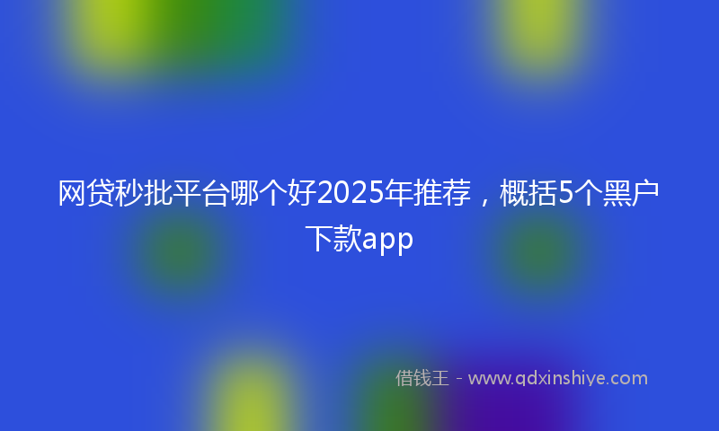网贷秒批平台哪个好2025年推荐，概括5个黑户下款app