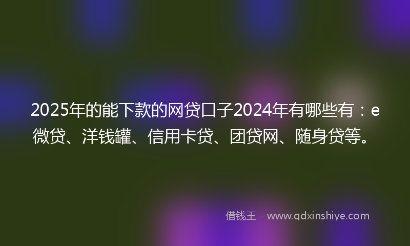 2025年的能下款的网贷口子2024年有哪些有：e微贷、洋钱罐、信用卡贷、团贷网、随身贷等。
