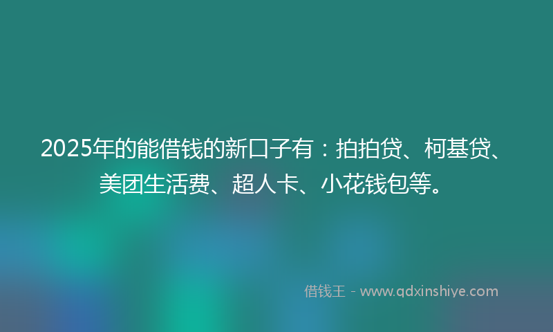 2025年的能借钱的新口子有：拍拍贷、柯基贷、美团生活费、超人卡、小花钱包等。