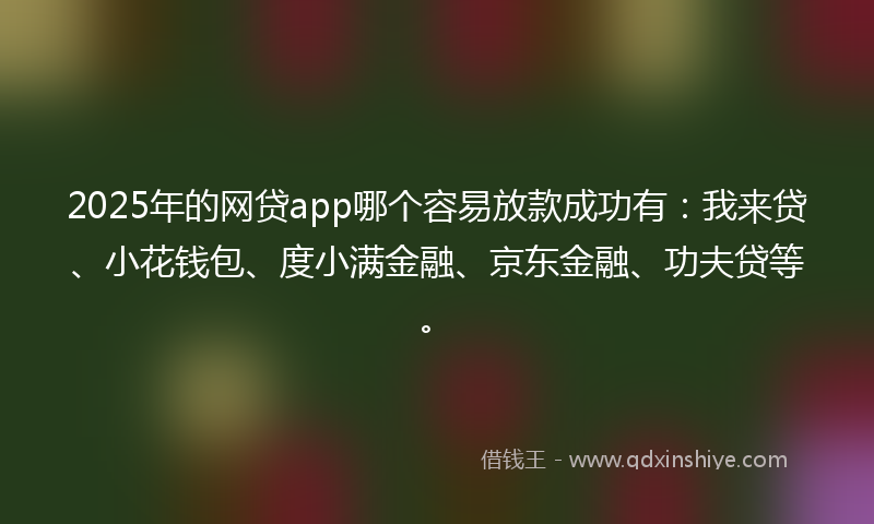 2025年的网贷app哪个容易放款成功有：我来贷、小花钱包、度小满金融、京东金融、功夫贷等。