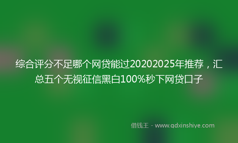 综合评分不足哪个网贷能过20202025年推荐，汇总五个无视征信黑白100%秒下网贷口子