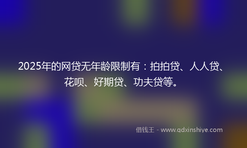 2025年的网贷无年龄限制有：拍拍贷、人人贷、花呗、好期贷、功夫贷等。