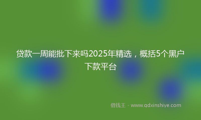 贷款一周能批下来吗2025年精选，概括5个黑户下款平台