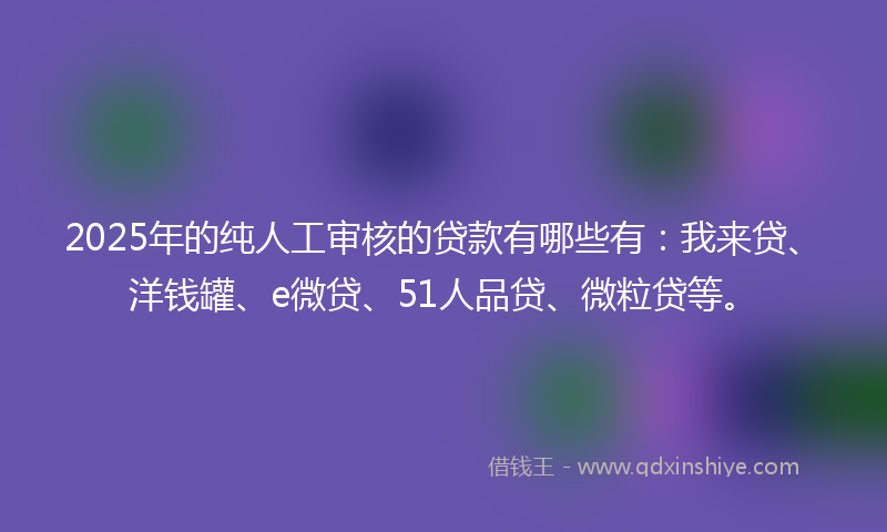 2025年的纯人工审核的贷款有哪些有：我来贷、洋钱罐、e微贷、51人品贷、微粒贷等。