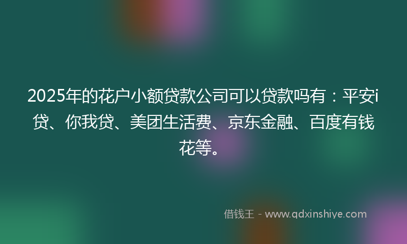 2025年的花户小额贷款公司可以贷款吗有：平安i贷、你我贷、美团生活费、京东金融、百度有钱花等。
