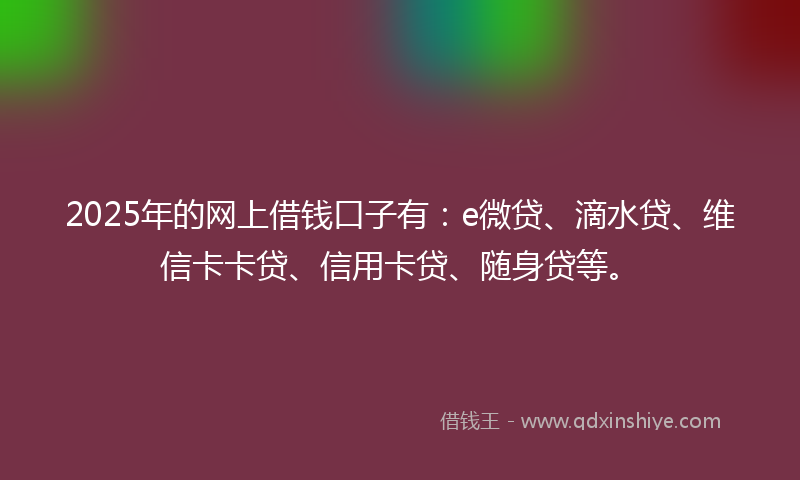 2025年的网上借钱口子有：e微贷、滴水贷、维信卡卡贷、信用卡贷、随身贷等。
