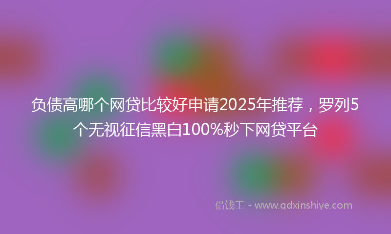 负债高哪个网贷比较好申请2025年推荐，罗列5个无视征信黑白100%秒下网贷平台