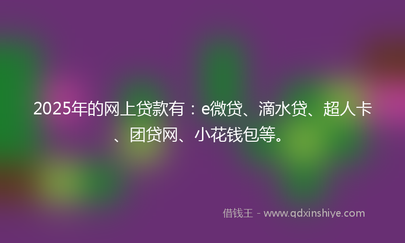 2025年的网上贷款有：e微贷、滴水贷、超人卡、团贷网、小花钱包等。