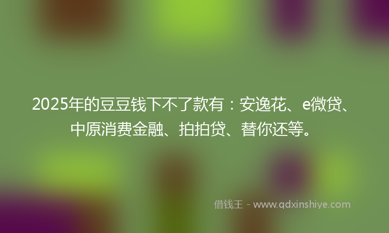 2025年的豆豆钱下不了款有：安逸花、e微贷、中原消费金融、拍拍贷、替你还等。