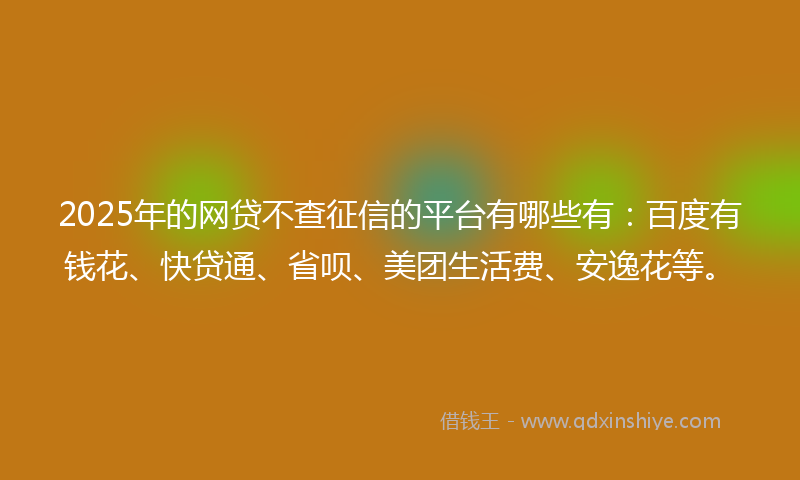 2025年的网贷不查征信的平台有哪些有：百度有钱花、快贷通、省呗、美团生活费、安逸花等。