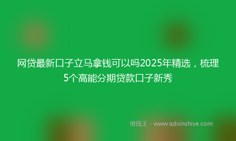 网贷最新口子立马拿钱可以吗2025年精选，梳理5个高能分期贷款口子新秀