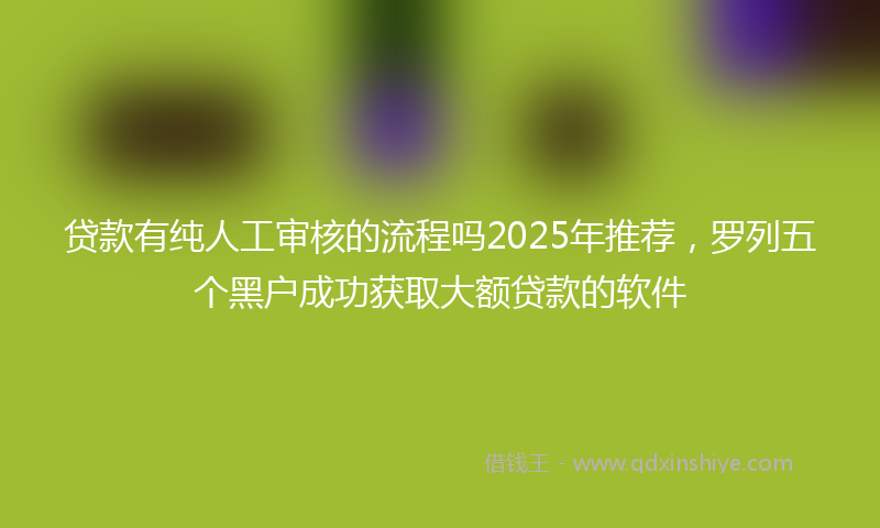 贷款有纯人工审核的流程吗2025年推荐，罗列五个黑户成功获取大额贷款的软件