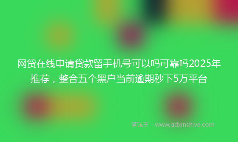 网贷在线申请贷款留手机号可以吗可靠吗2025年推荐，整合五个黑户当前逾期秒下5万平台
