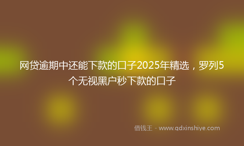 网贷逾期中还能下款的口子2025年精选，罗列5个无视黑户秒下款的口子