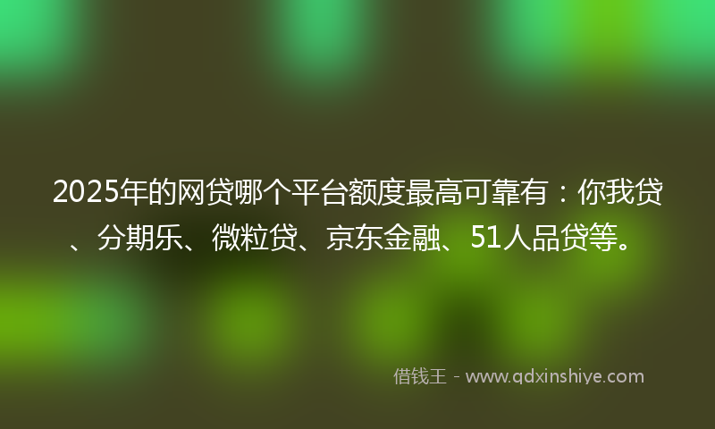 2025年的网贷哪个平台额度最高可靠有：你我贷、分期乐、微粒贷、京东金融、51人品贷等。