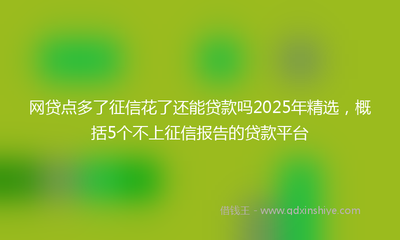 网贷点多了征信花了还能贷款吗2025年精选，概括5个不上征信报告的贷款平台