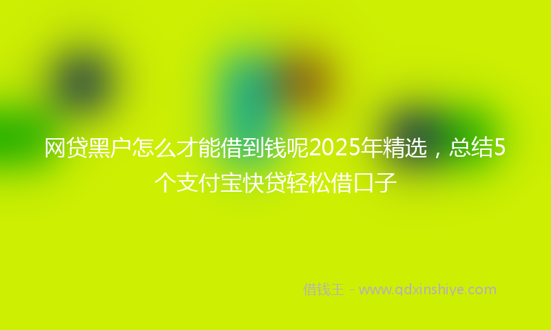 网贷黑户怎么才能借到钱呢2025年精选，总结5个支付宝快贷轻松借口子