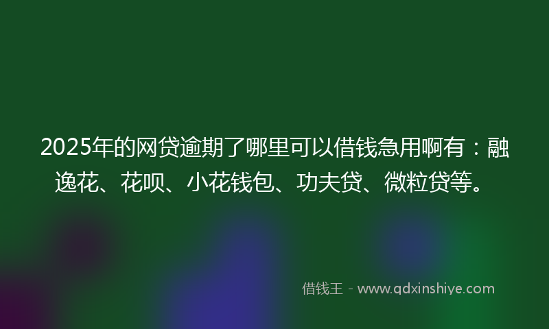 2025年的网贷逾期了哪里可以借钱急用啊有：融逸花、花呗、小花钱包、功夫贷、微粒贷等。