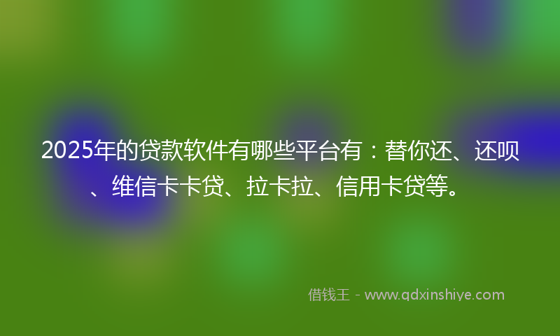 2025年的贷款软件有哪些平台有：替你还、还呗、维信卡卡贷、拉卡拉、信用卡贷等。