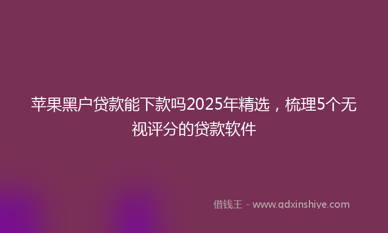 苹果黑户贷款能下款吗2025年精选，梳理5个无视评分的贷款软件