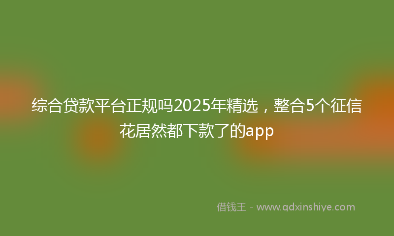 综合贷款平台正规吗2025年精选，整合5个征信花居然都下款了的app