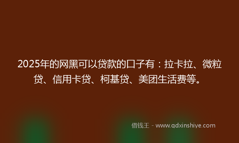 2025年的网黑可以贷款的口子有：拉卡拉、微粒贷、信用卡贷、柯基贷、美团生活费等。
