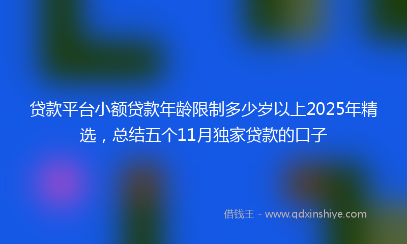 贷款平台小额贷款年龄限制多少岁以上2025年精选，总结五个11月独家贷款的口子