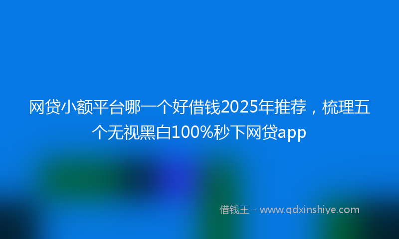 网贷小额平台哪一个好借钱2025年推荐，梳理五个无视黑白100%秒下网贷app