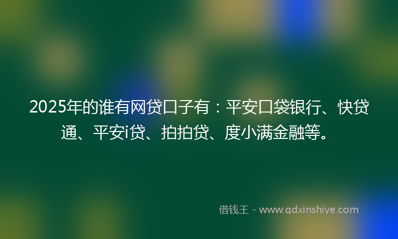 2025年的谁有网贷口子有：平安口袋银行、快贷通、平安i贷、拍拍贷、度小满金融等。