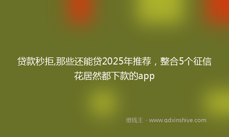贷款秒拒,那些还能贷2025年推荐，整合5个征信花居然都下款的app
