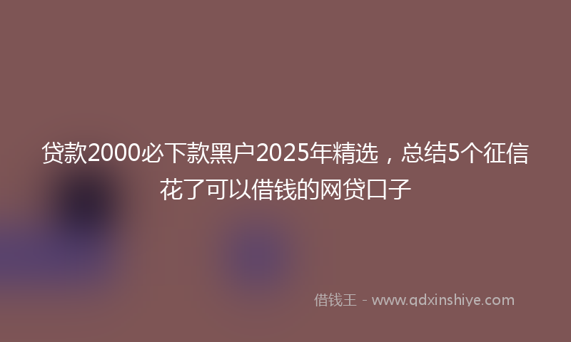 贷款2000必下款黑户2025年精选，总结5个征信花了可以借钱的网贷口子
