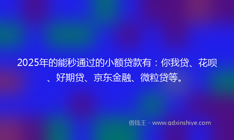 2025年的能秒通过的小额贷款有：你我贷、花呗、好期贷、京东金融、微粒贷等。