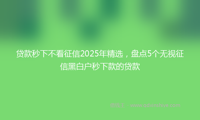 贷款秒下不看征信2025年精选，盘点5个无视征信黑白户秒下款的贷款