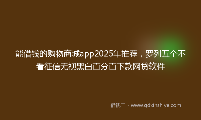 能借钱的购物商城app2025年推荐，罗列五个不看征信无视黑白百分百下款网贷软件