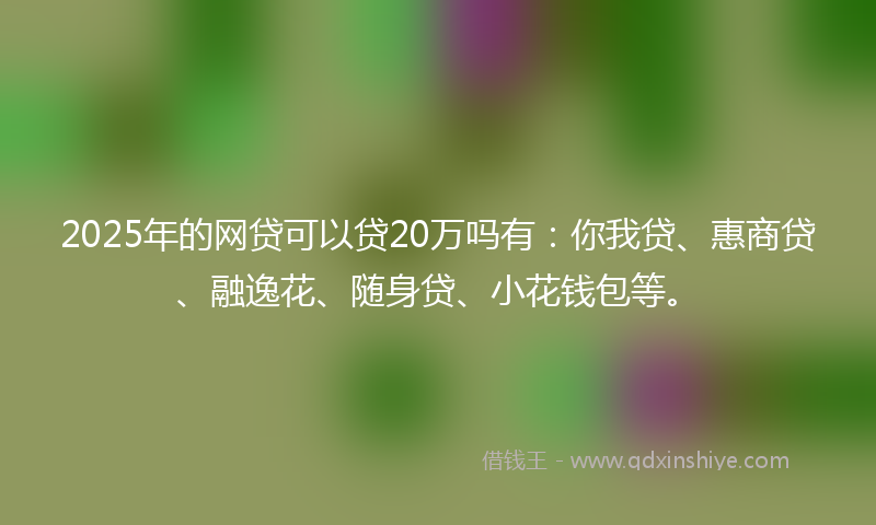 2025年的网贷可以贷20万吗有：你我贷、惠商贷、融逸花、随身贷、小花钱包等。