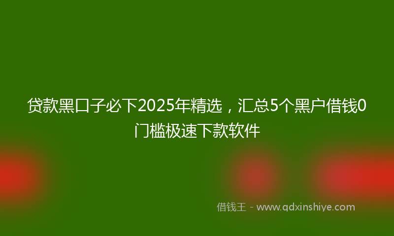 贷款黑口子必下2025年精选，汇总5个黑户借钱0门槛极速下款软件