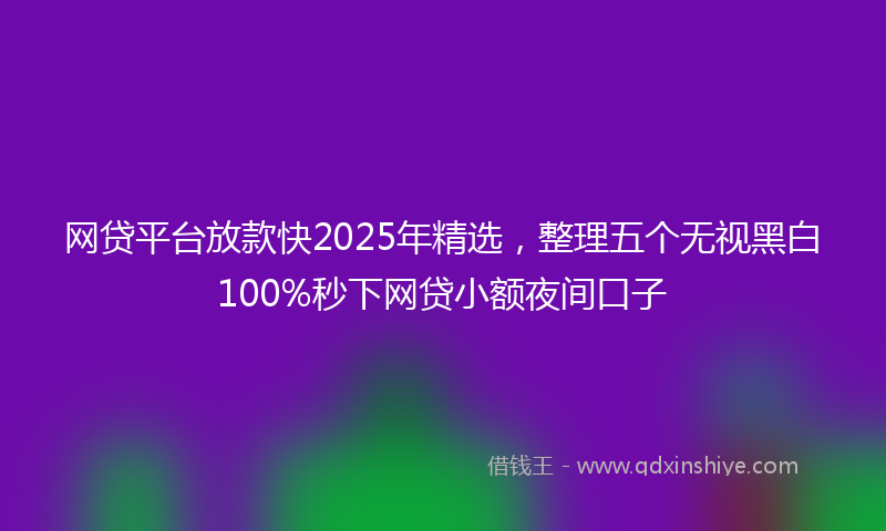 网贷平台放款快2025年精选，整理五个无视黑白100%秒下网贷小额夜间口子