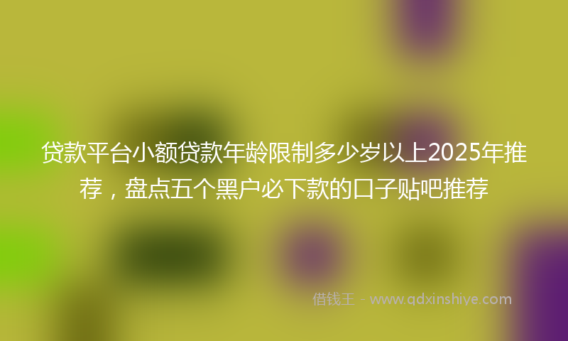 贷款平台小额贷款年龄限制多少岁以上2025年推荐，盘点五个黑户必下款的口子贴吧推荐