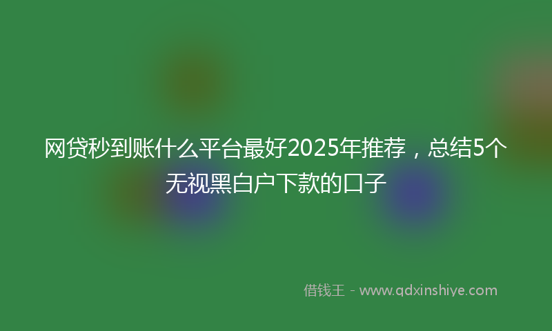 网贷秒到账什么平台最好2025年推荐，总结5个无视黑白户下款的口子