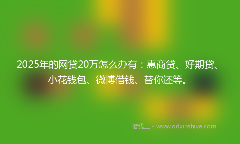 2025年的网贷20万怎么办有：惠商贷、好期贷、小花钱包、微博借钱、替你还等。