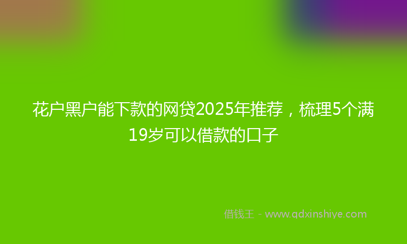 花户黑户能下款的网贷2025年推荐，梳理5个满19岁可以借款的口子