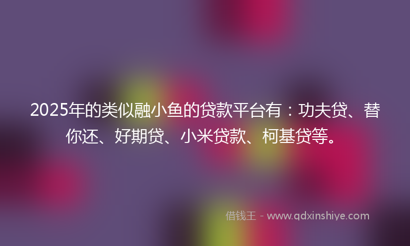 2025年的类似融小鱼的贷款平台有：功夫贷、替你还、好期贷、小米贷款、柯基贷等。