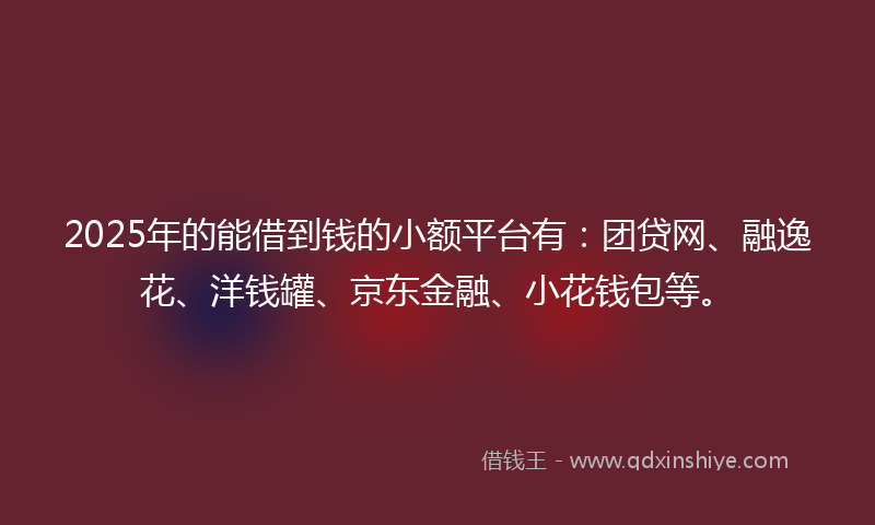 2025年的能借到钱的小额平台有：团贷网、融逸花、洋钱罐、京东金融、小花钱包等。