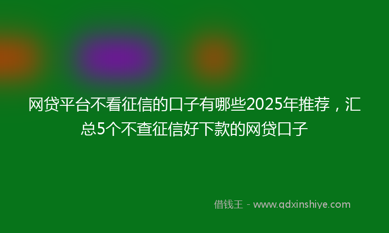 网贷平台不看征信的口子有哪些2025年推荐，汇总5个不查征信好下款的网贷口子